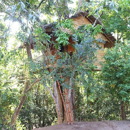 Tree House-Midigama Villa Weligama Exterior foto