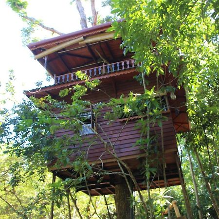 Tree House-Midigama Villa Weligama Exterior foto