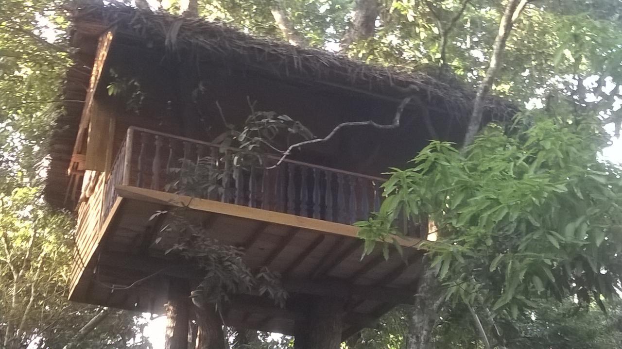 Tree House-Midigama Villa Weligama Exterior foto