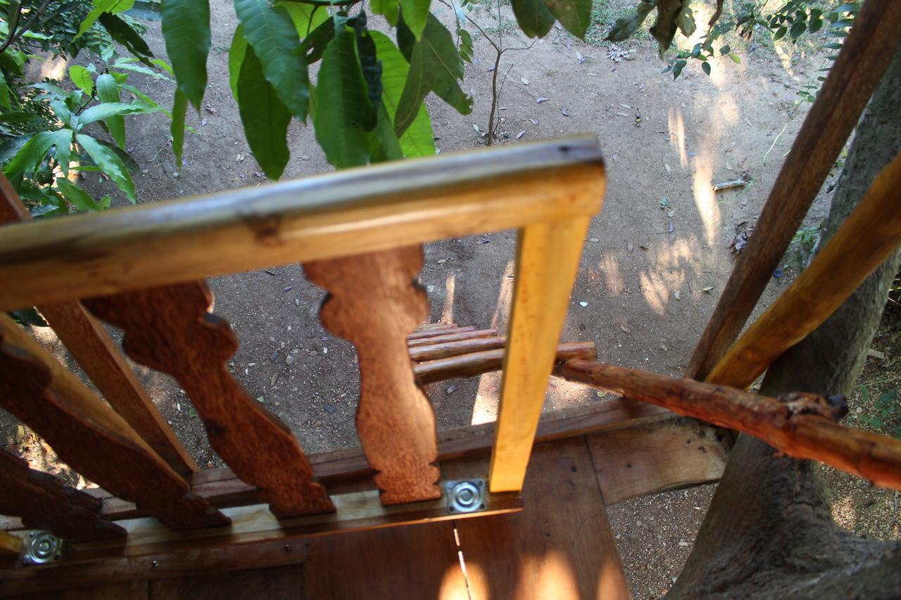 Tree House-Midigama Villa Weligama Exterior foto