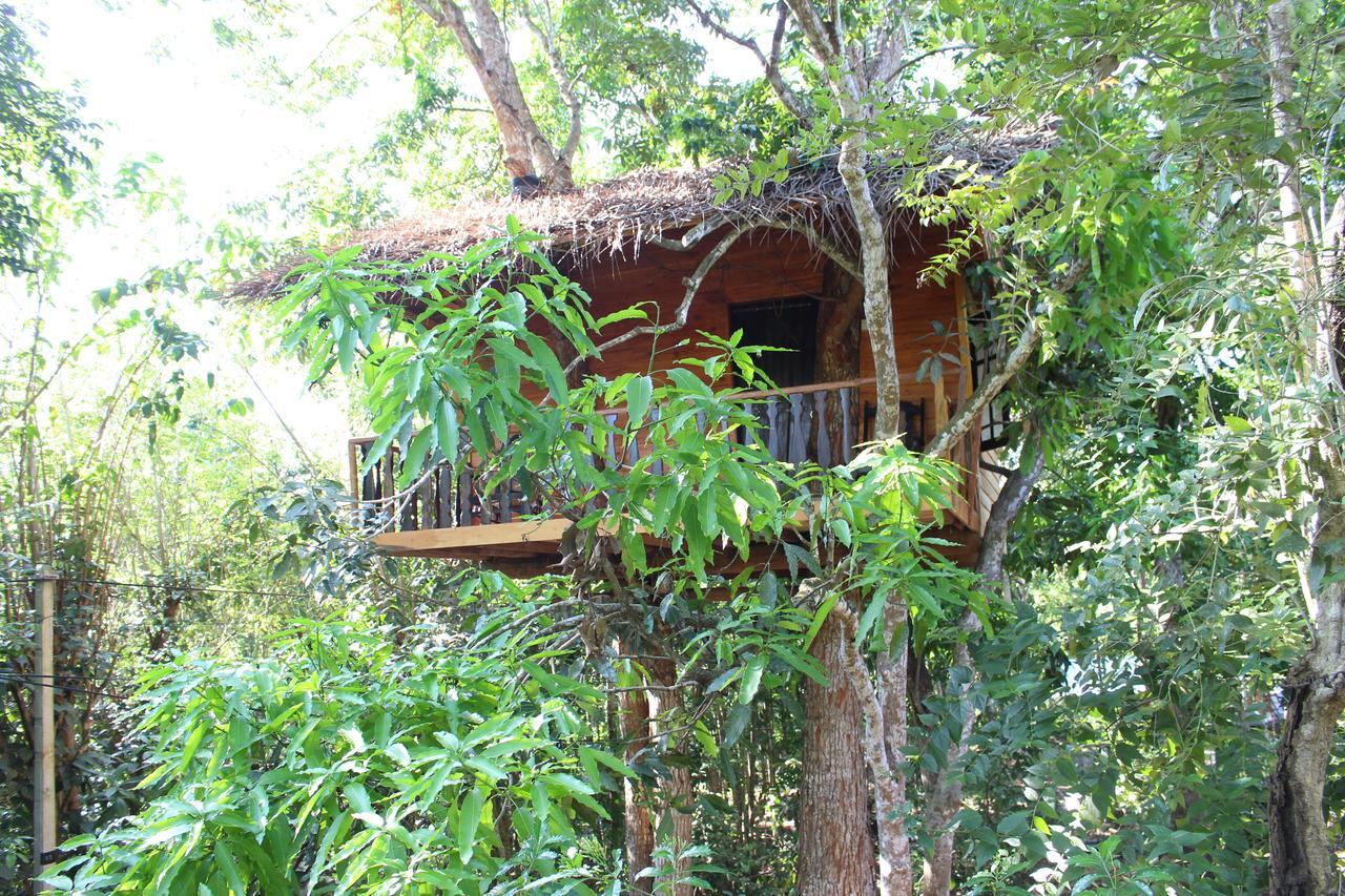 Tree House-Midigama Villa Weligama Exterior foto