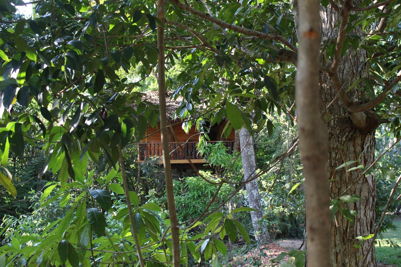 Tree House-Midigama Villa Weligama Exterior foto