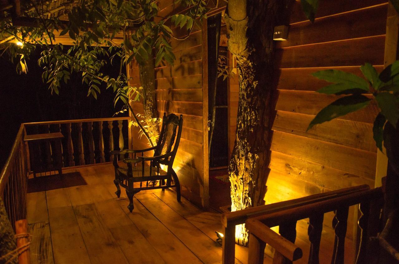 Tree House-Midigama Villa Weligama Exterior foto