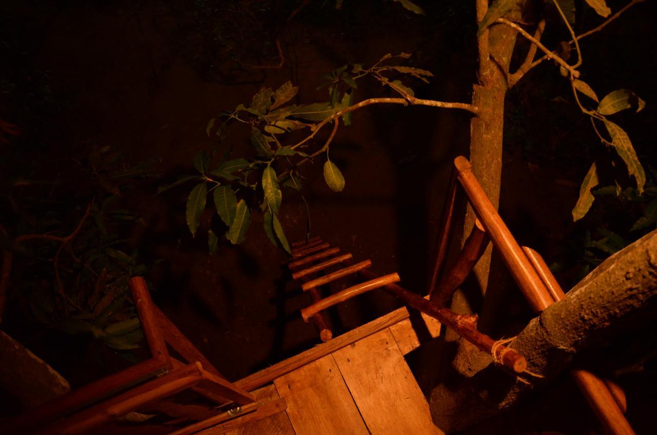 Tree House-Midigama Villa Weligama Exterior foto