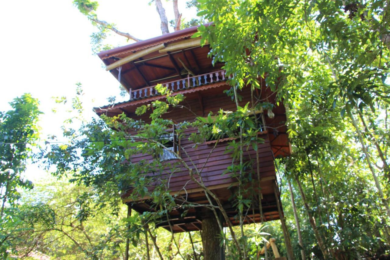 Tree House-Midigama Villa Weligama Exterior foto