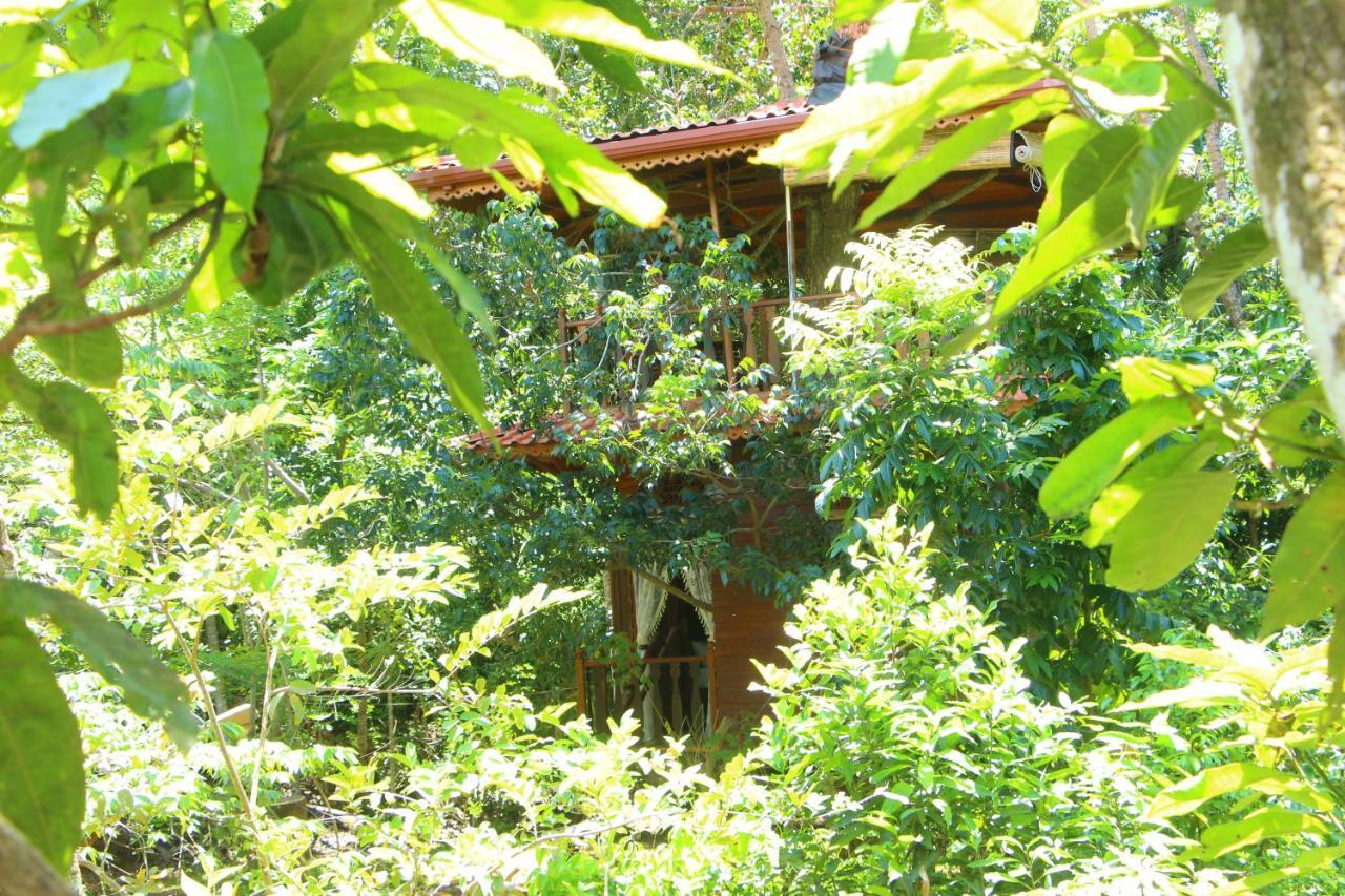 Tree House-Midigama Villa Weligama Exterior foto