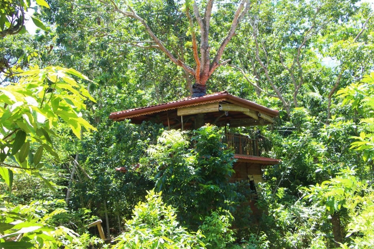 Tree House-Midigama Villa Weligama Exterior foto