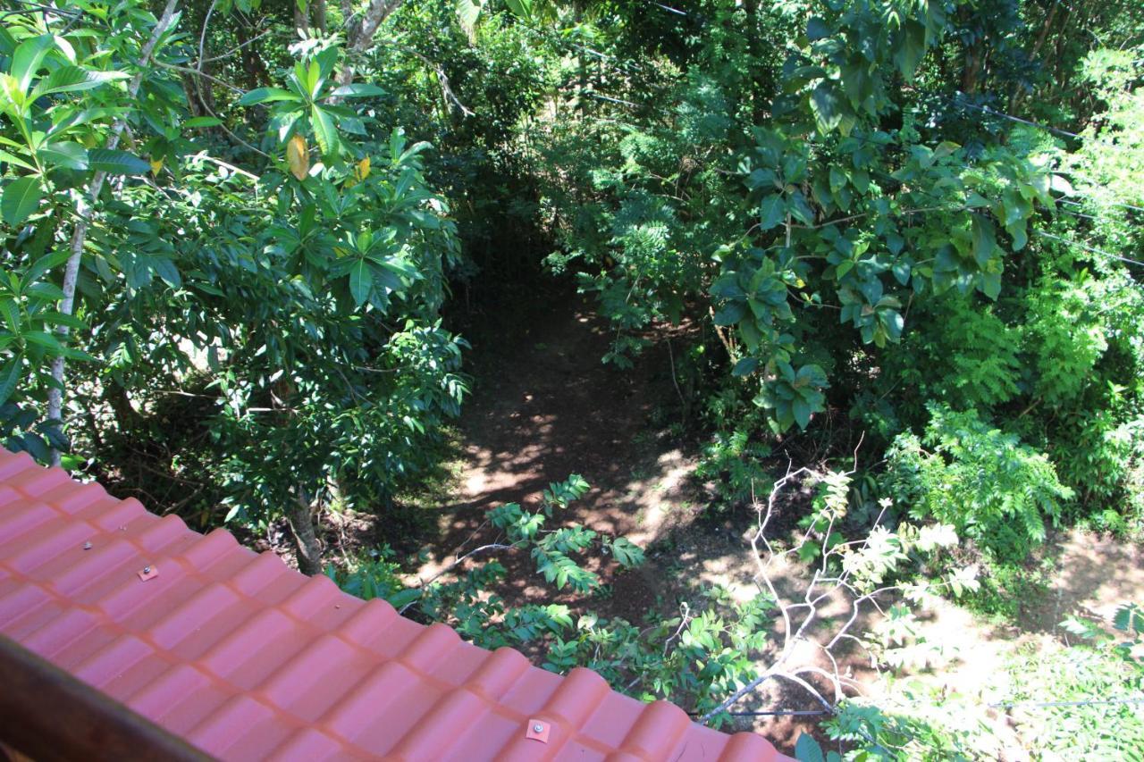 Tree House-Midigama Villa Weligama Exterior foto