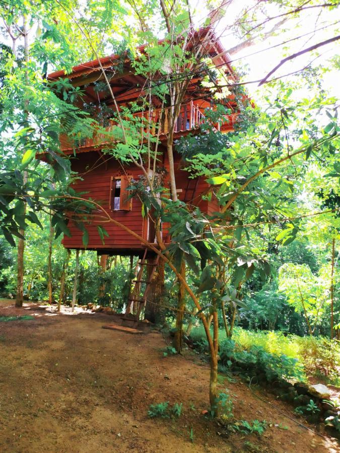 Tree House-Midigama Villa Weligama Exterior foto