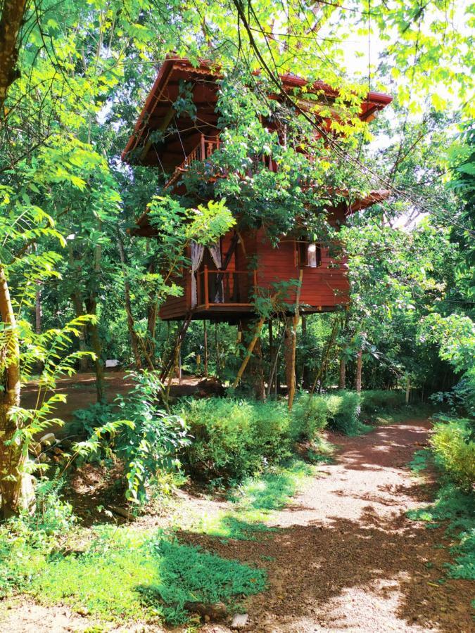 Tree House-Midigama Villa Weligama Exterior foto