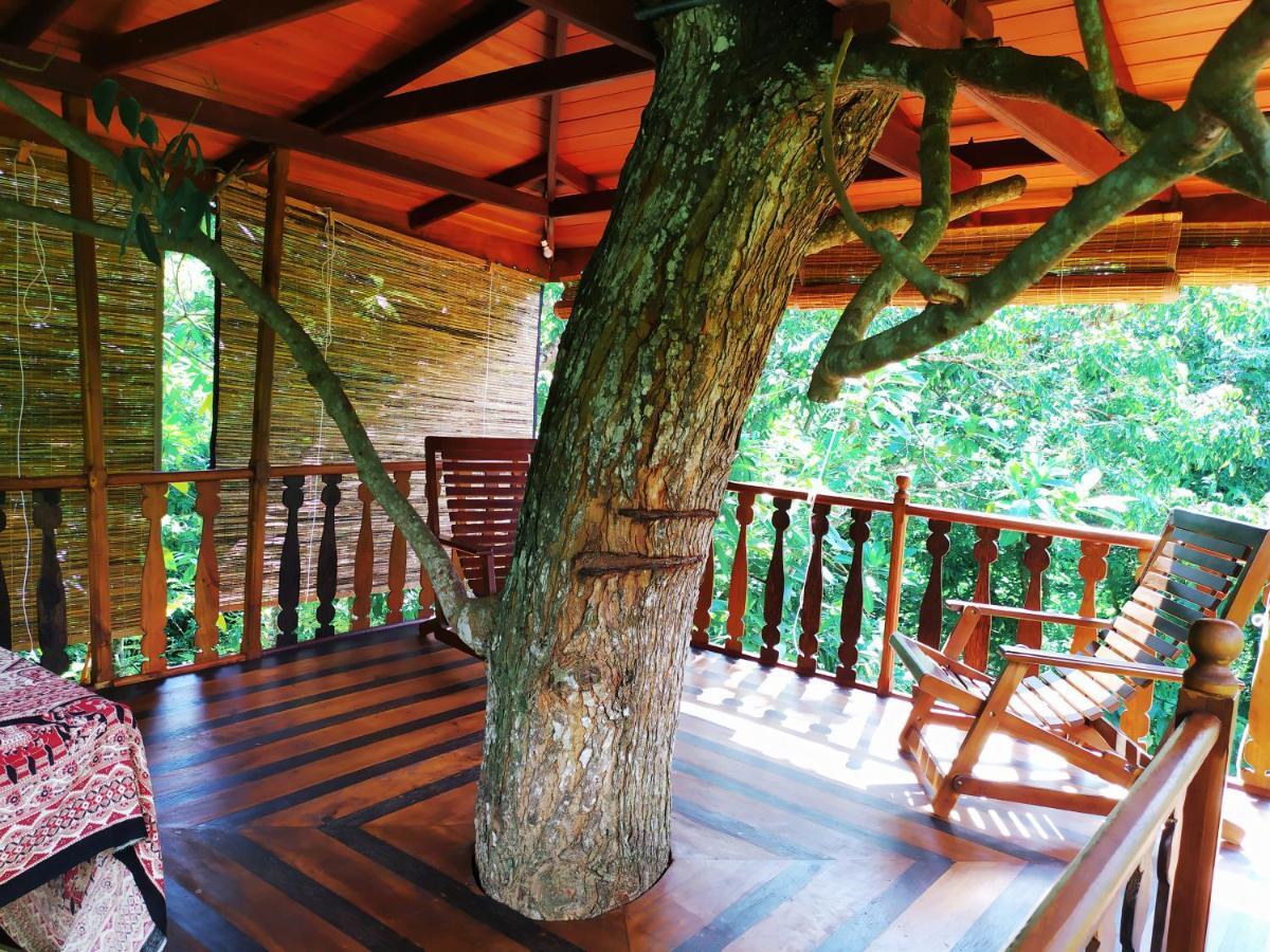 Tree House-Midigama Villa Weligama Exterior foto